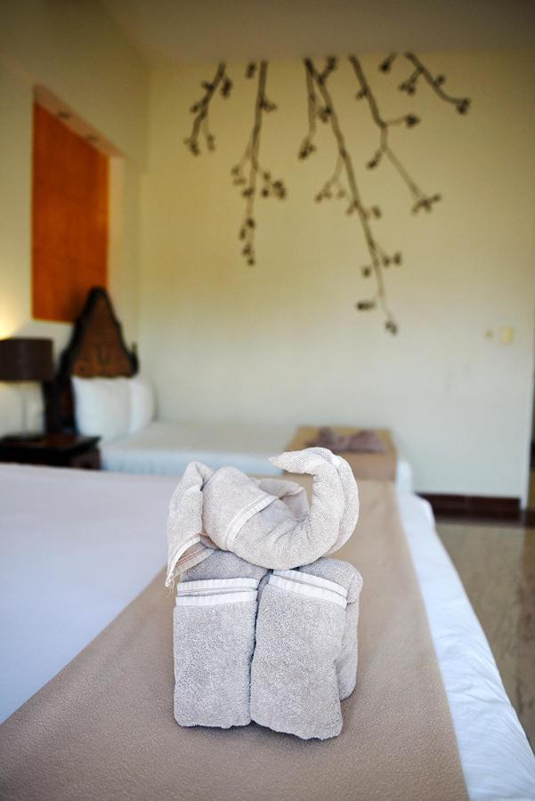 Hotel Mt Tulum Dış mekan fotoğraf